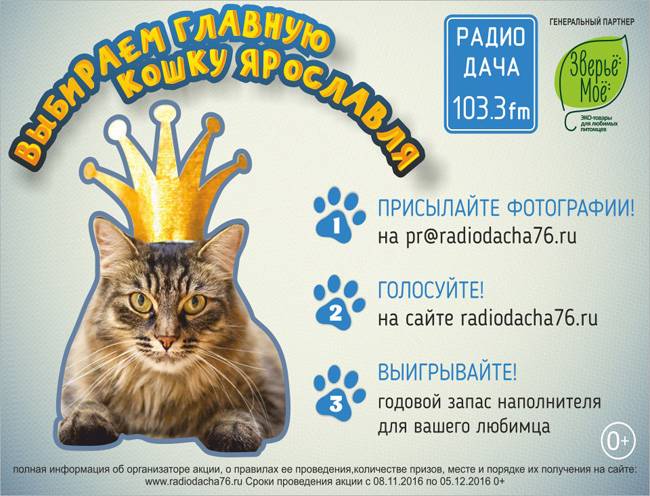 Гороскоп Радио Дача На Петергофской
